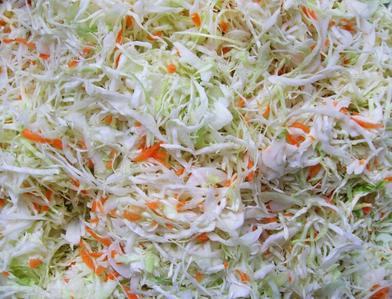 fermentálás
