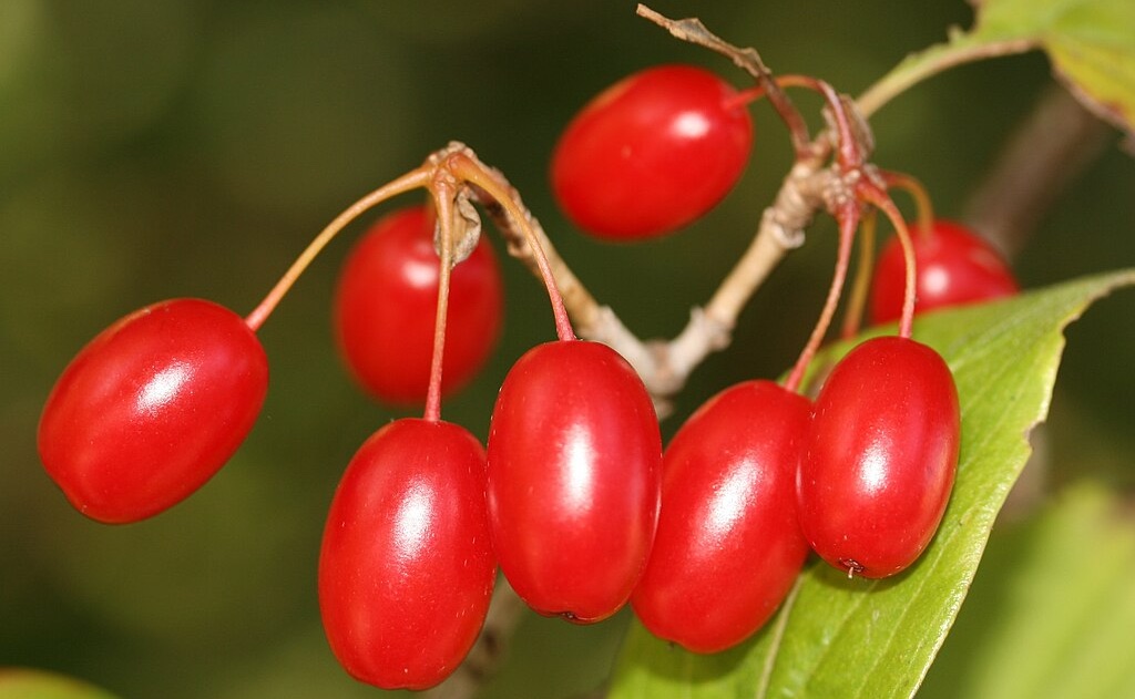som